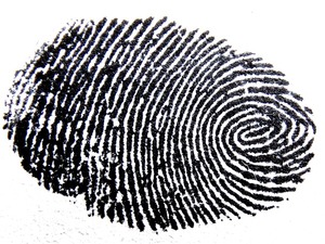 do_mobile_fingerprint_sca_75398_142985